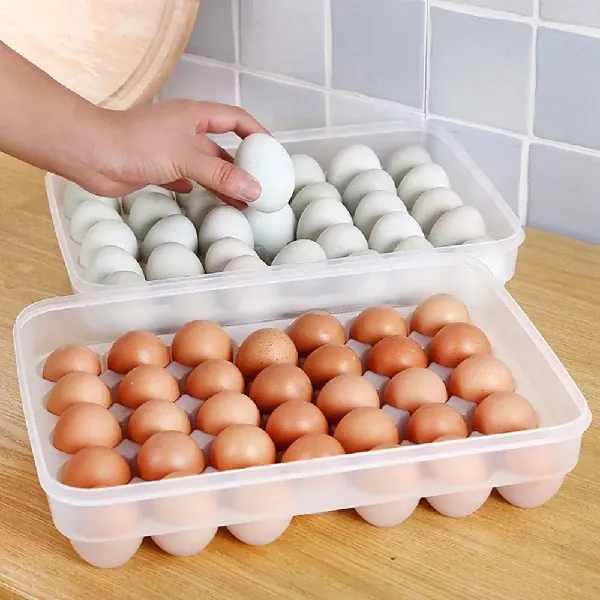 24-grid-egg-storage-box-1 24 grid egg storage box - Image 1