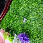 Fantasy Colorful Acrylic Butterfly Pendant Necklace  For Womens - Image 3