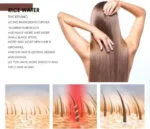 Rice Water Hair Care Shampoo – Hair Fall Control, Dandruff Removal, Volume Boost, Regrowth & Thickening Formula - Image 5