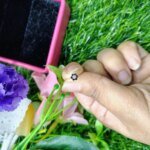 Traditional Gold Seven Stone Mossanite  Nose Pin -7 Mm (With gift box) - Image 4