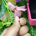 tiny crystal Circel Nose pin For Women ( Sigle pcs) - Image 5