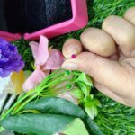 tiny crystal Circel Nose pin For Women ( Sigle pcs) - Image 4