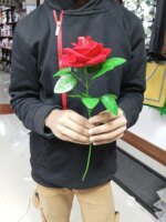 valentine's day  Gift Rose Flower - Image 5
