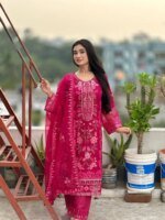 Vibrant Fuchsia Embroidered Organza Salwar Kameez Set - Image 3