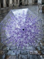 Transparent Flower Design Folding Women Fashion Umbrella - Image 4