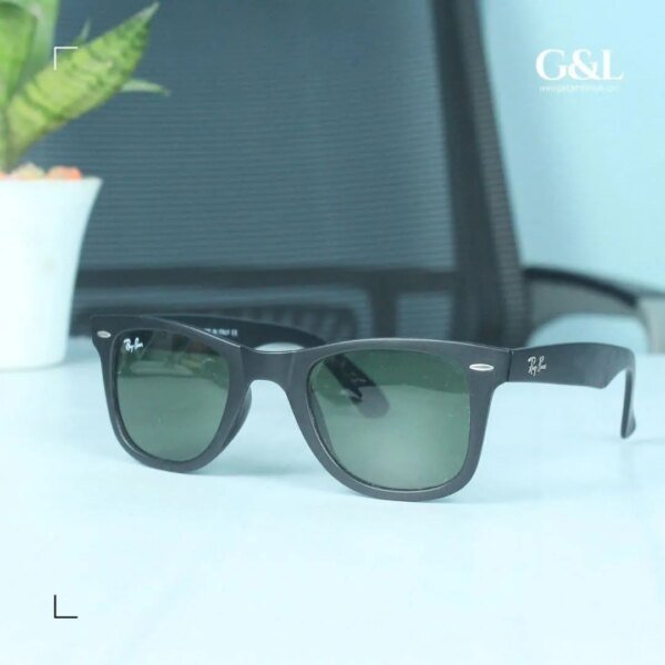 RayBan Wayfarer Sunglass